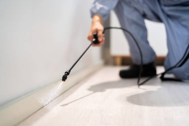 Bed Bug Pre-Treatment Preparation Assessment in Oronogo