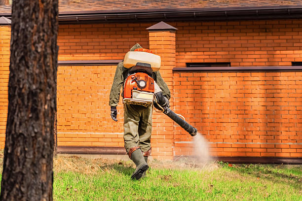 Bed Bug Clearance Verification and Documentation in Oronogo